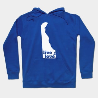 Delaware - Live Love Delaware Hoodie